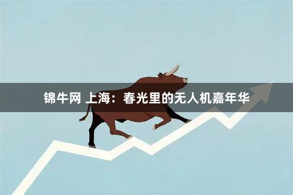 锦牛网 上海：春光里的无人机嘉年华